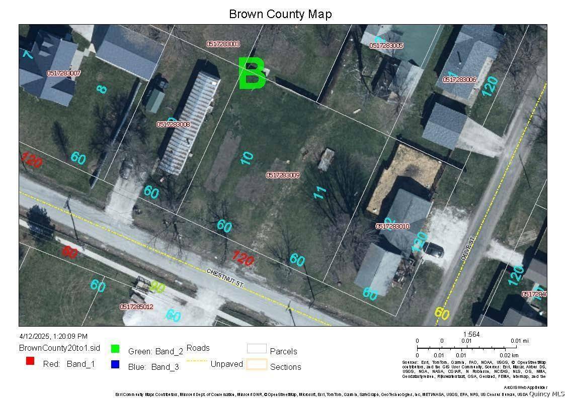 Mt. Sterling, IL 62353,309 E Chestnut