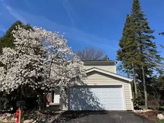 Hoffman Estates, IL 60169,704 SCARBROUGH Circle