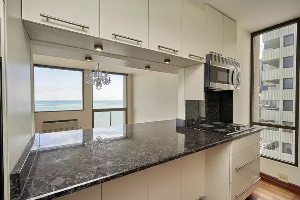 Chicago, IL 60610,1240 N Lake Shore Drive #25A