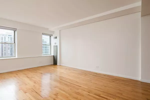 Chicago, IL 60605,40 E 9th Street #1417