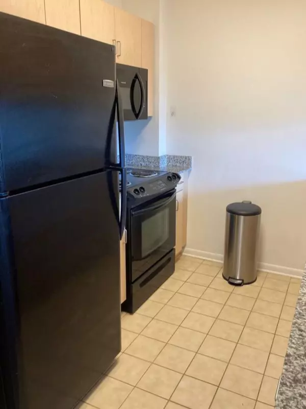 Evanston, IL 60201,1740 Oak Avenue #307