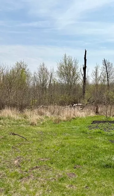 Sublette, IL 61367,14/33 Woodhaven