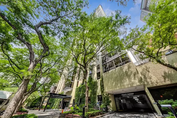 Chicago, IL 60611,100 E Bellevue Place #14B