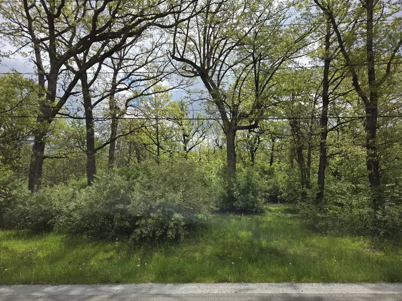 23627 S Ashland Avenue, Crete, IL 60417