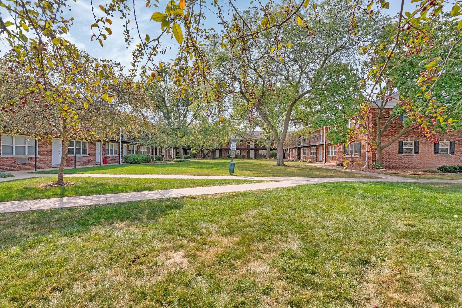 Glen Ellyn, IL 60137,15 Briar Street #15