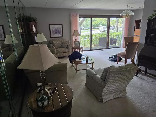 Orland Park, IL 60462,9906 Shady Lane #1SW