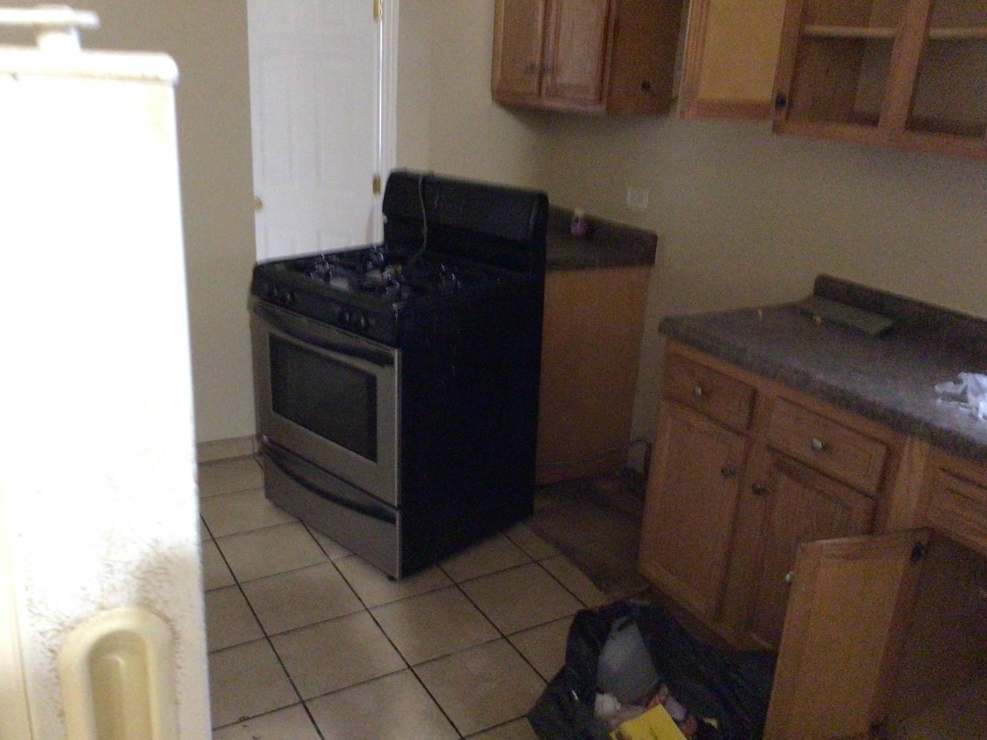 Chicago, IL 60619,7154 S St Lawrence Avenue #1