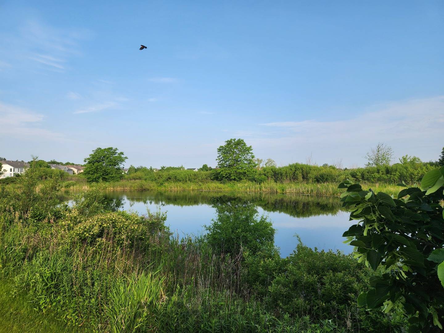 Beach Park, IL 60083,12778 W Wakefield Drive #454-4
