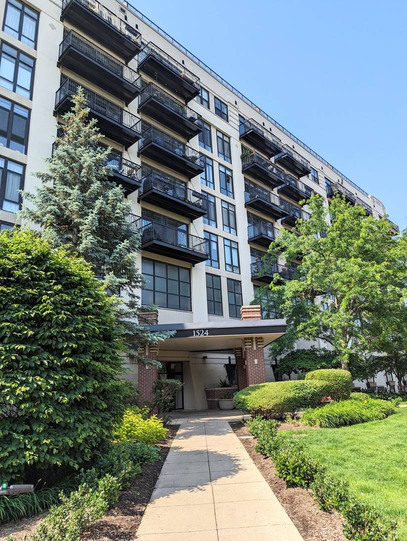 1524 S Sangamon Street #401, Chicago, IL 60608