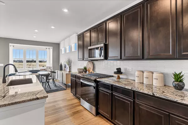 Plainfield, IL 60585,24708 W Owen Court