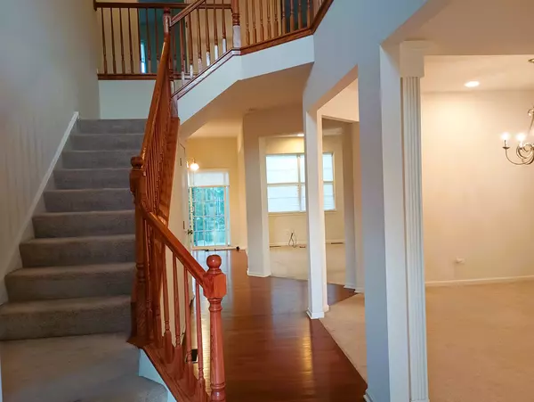 Romeoville, IL 60446,777 W Mystic Lane