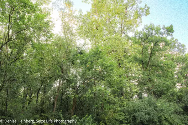 Marengo, IL 60152,910 Echo (Lot 6) Trail