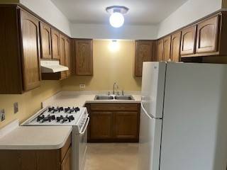 Oak Lawn, IL 60453,10936 S Keating Avenue #3C