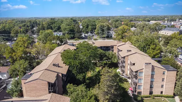 Wauconda, IL 60084,450 N Main Street #S307A