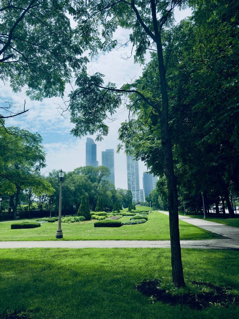 Chicago, IL 60605,910 S Michigan Avenue #1712