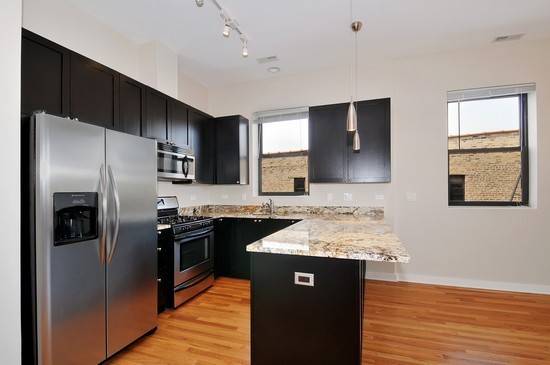 Chicago, IL 60622,2151 W EVERGREEN Avenue #102