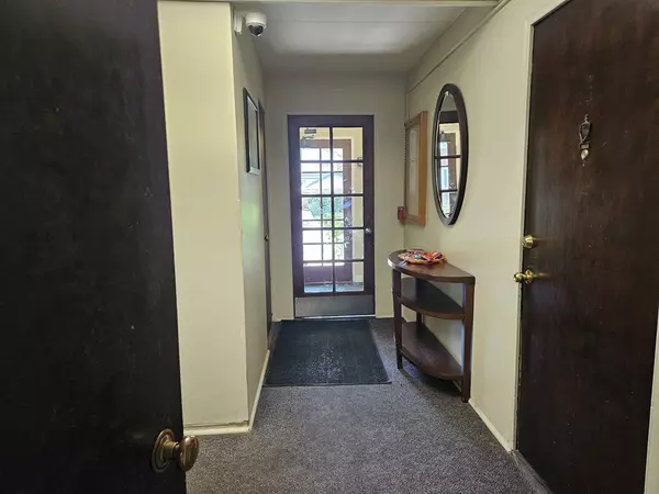 River Forest, IL 60305,7204 Oak Avenue #3NW
