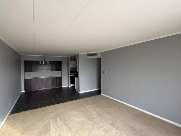 Schaumburg, IL 60193,300 S Roselle Road #522