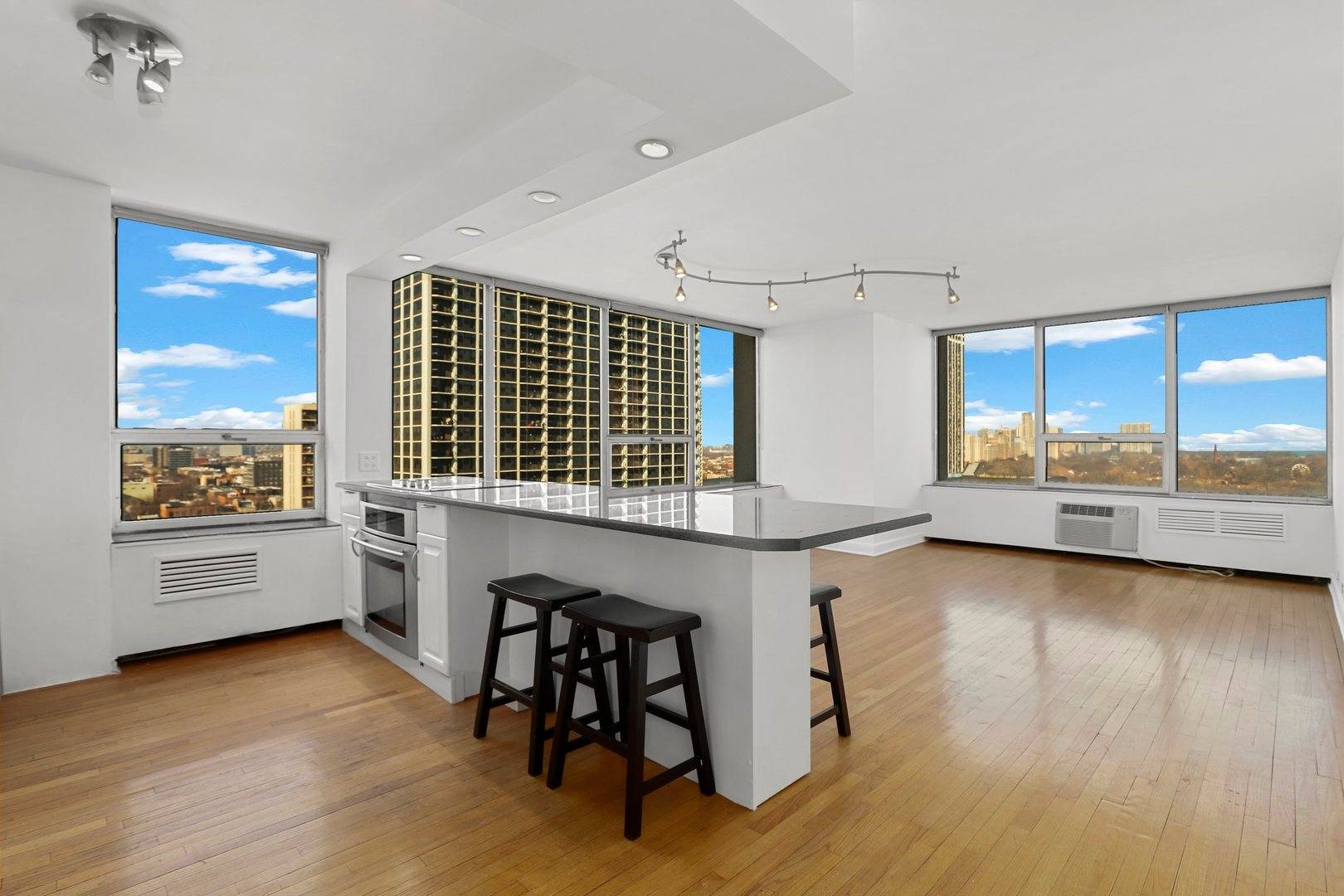 Chicago, IL 60610,70 W Burton Place #1801