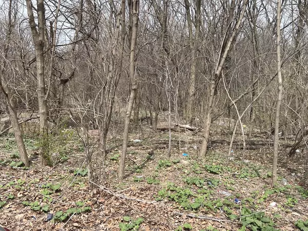 Joliet, IL 60436,1213 W Park Front Street