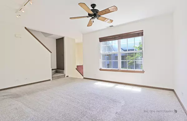 Waukegan, IL 60085,936 S Darla Court