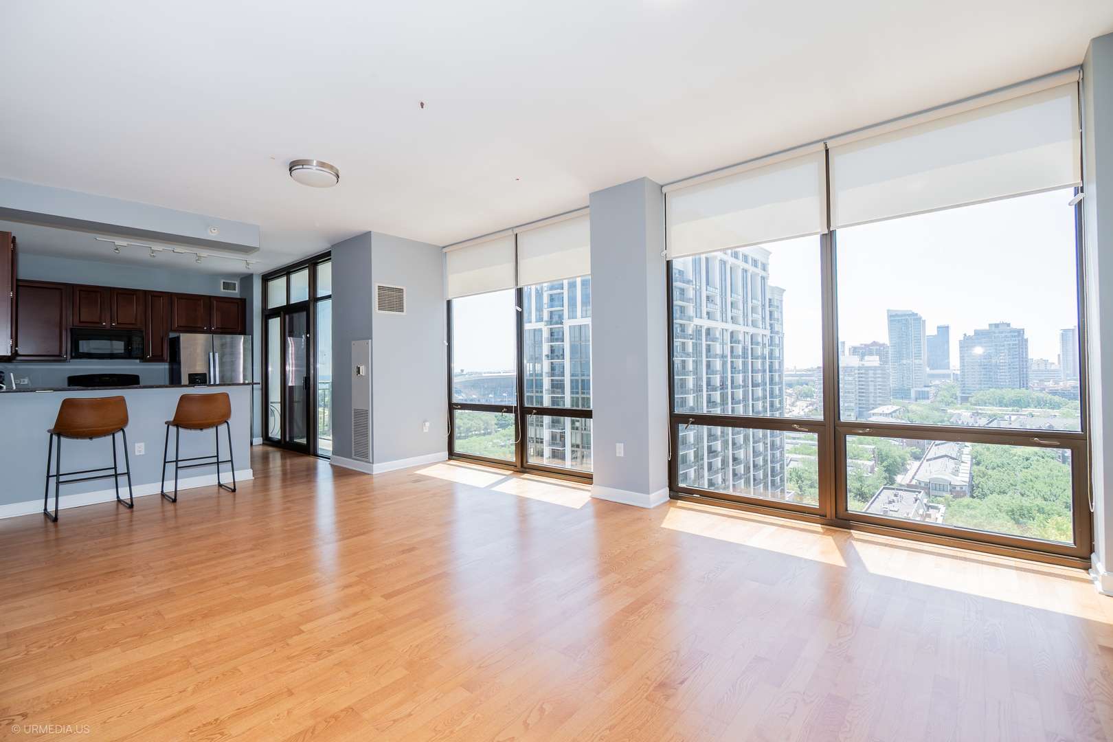 Chicago, IL 60605,233 E 13th Street #1509