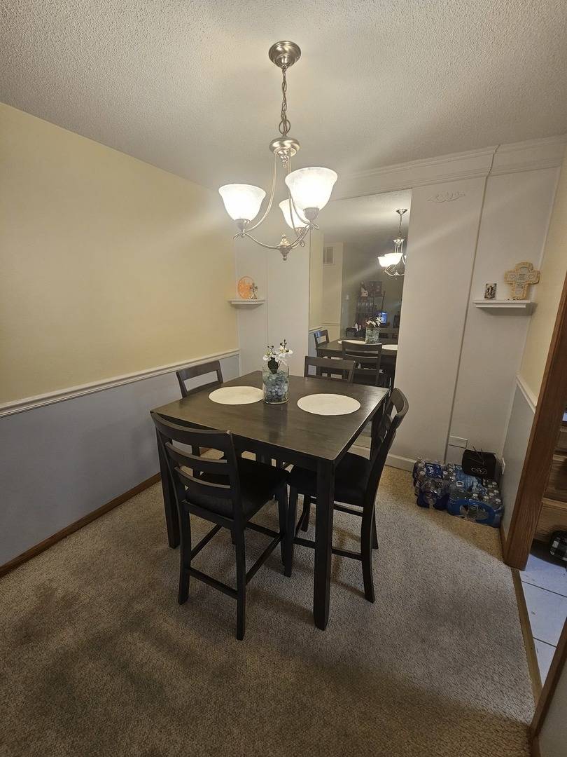 Westmont, IL 60559,907 S Williams Street #210