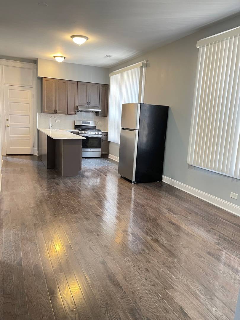 Chicago, IL 60607,1039 S Racine Avenue #3R