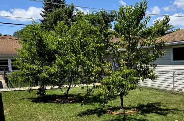 La Grange Park, IL 60526,1422 Homestead Road
