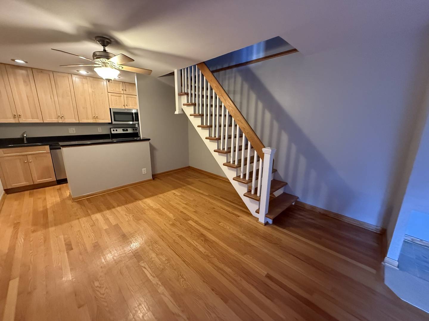 Chicago, IL 60613,744 W GORDON Terrace #316