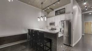 Chicago, IL 60608,1069 W 14th Place #123
