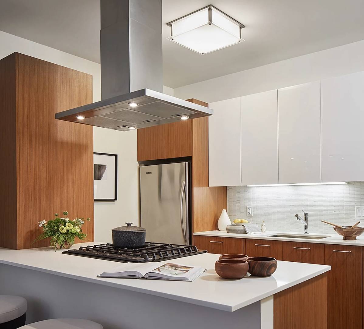 Chicago, IL 60611,500 N Lake Shore Drive #4107