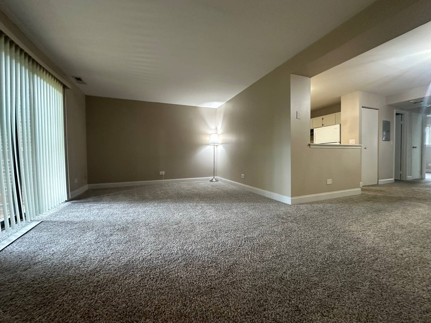 Lisle, IL 60532,2226 Abbeywood Drive #B