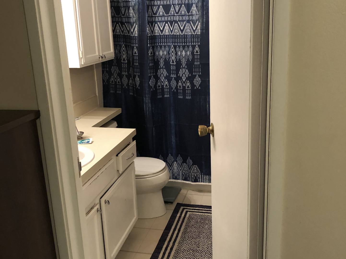 Palatine, IL 60074,1235 WYNDHAM Court #202