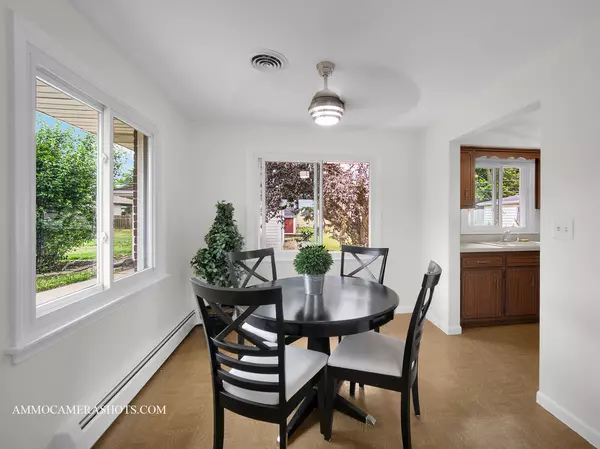 Crest Hill, IL 60403,513 Chaney Avenue