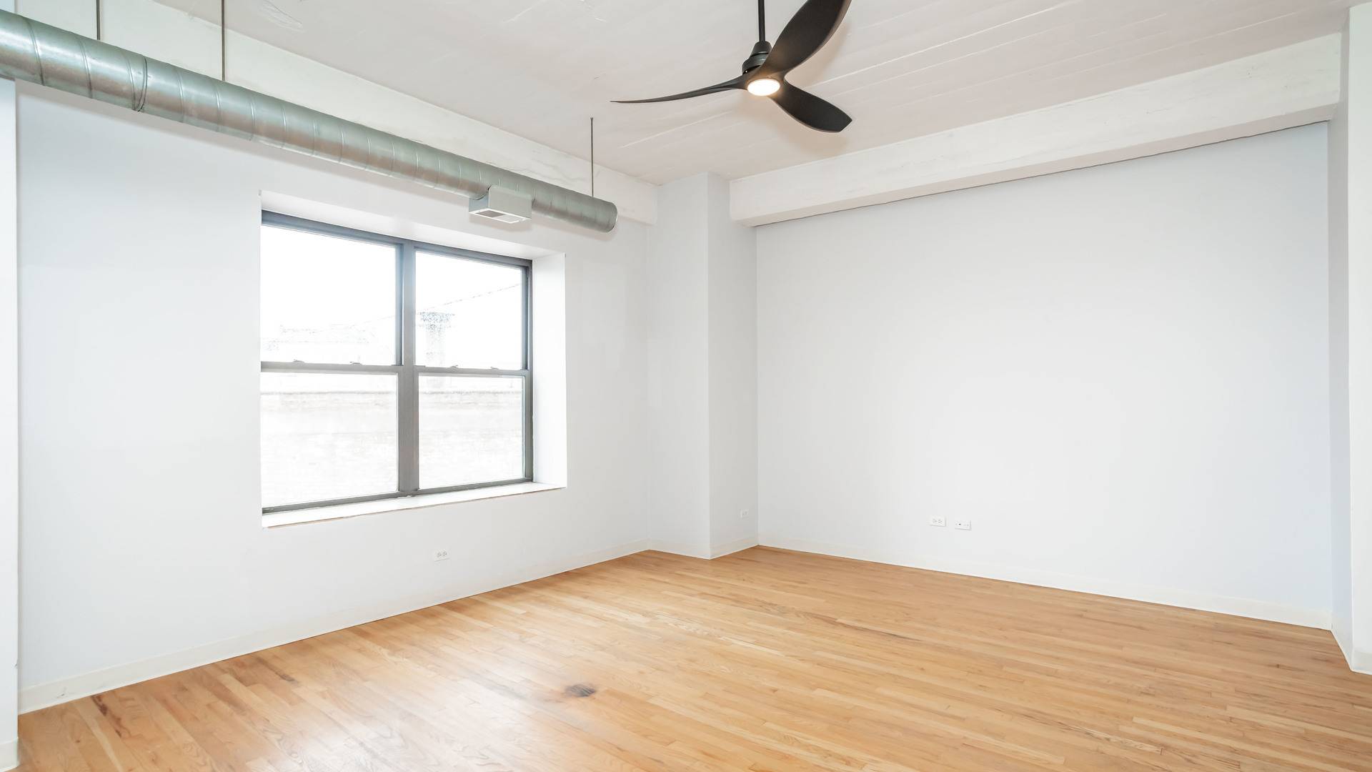 Chicago, IL 60608,1846 S Loomis Street #404
