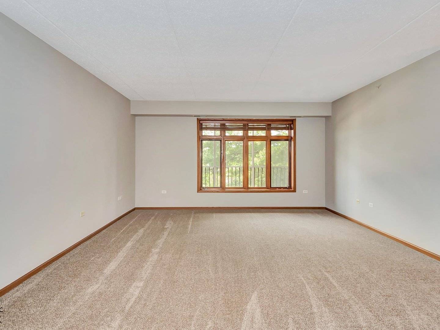 Tinley Park, IL 60477,6320 Pine Ridge Drive #1B