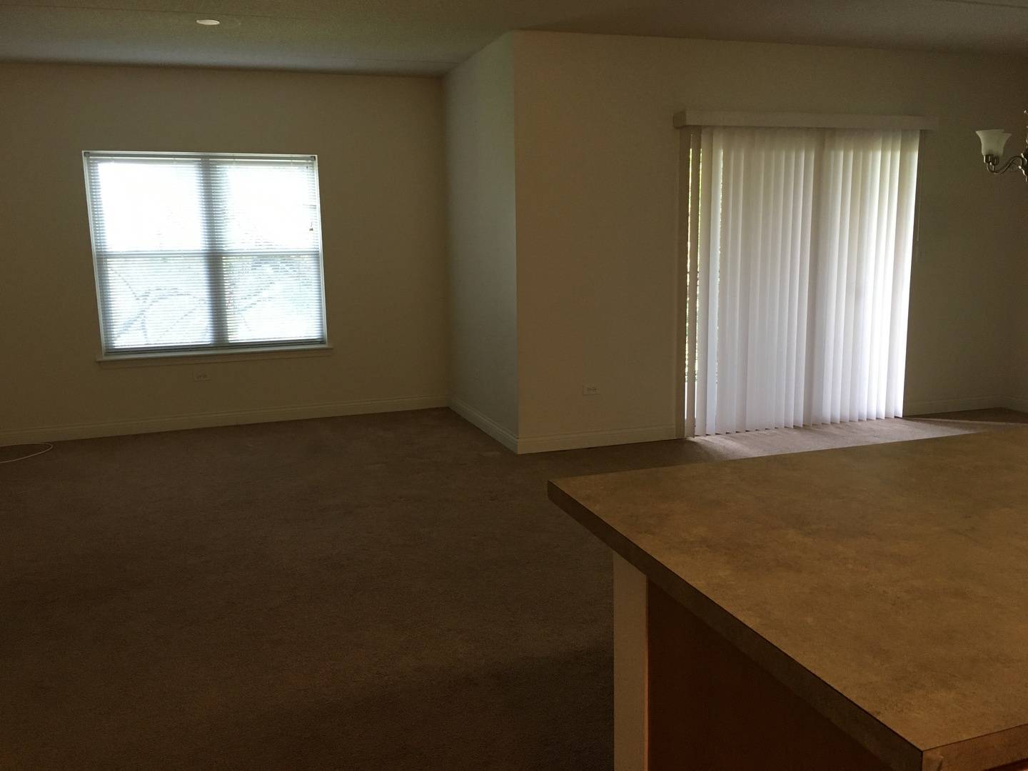Arlington Heights, IL 60004,3400 N Old Arlington Heights Road #306