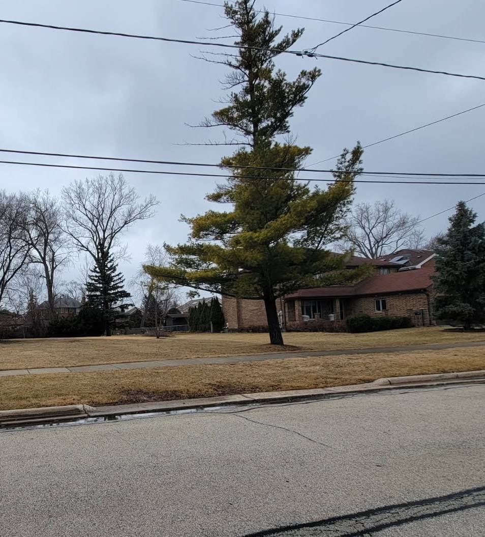 8619 W Park Lane, Niles, IL 60714