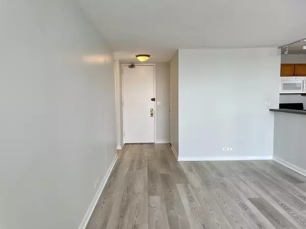 Chicago, IL 60613,655 W Irving Park Road #2808