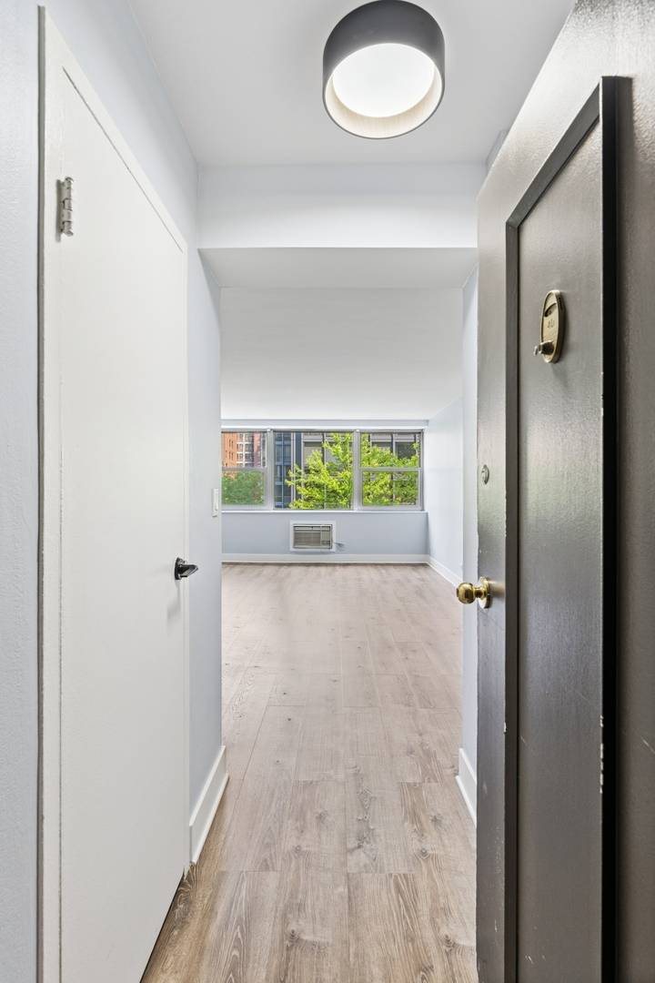 Chicago, IL 60611,253 E DELAWARE Place #4D