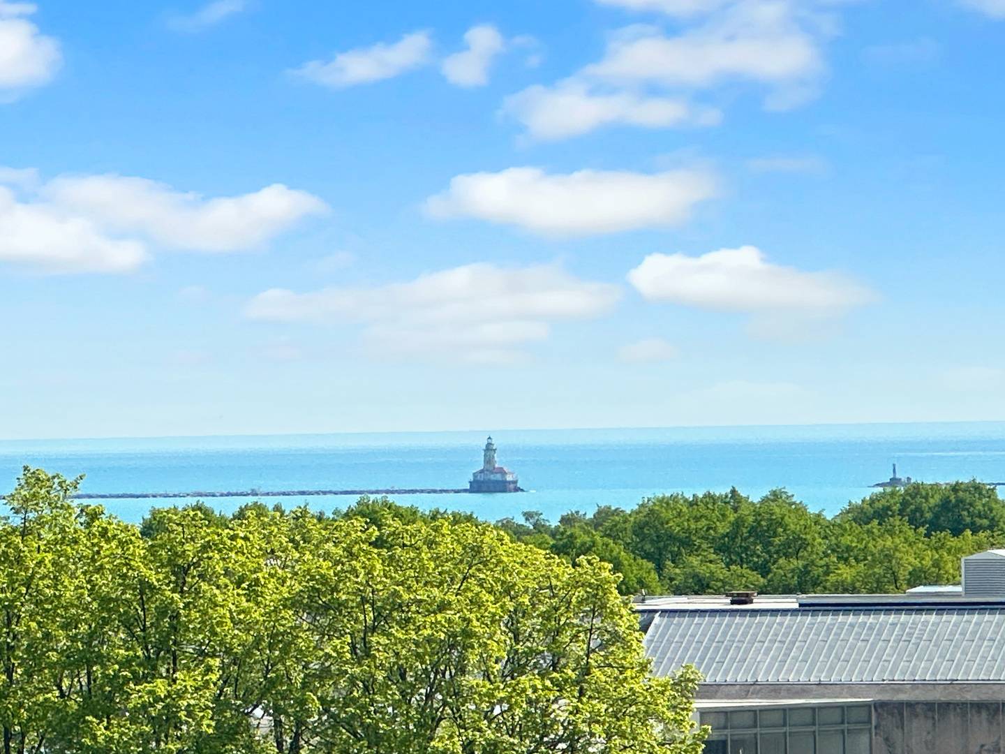 Chicago, IL 60604,310 S MICHIGAN Avenue #702
