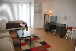 Chicago, IL 60610,21 W Goethe Street #7C