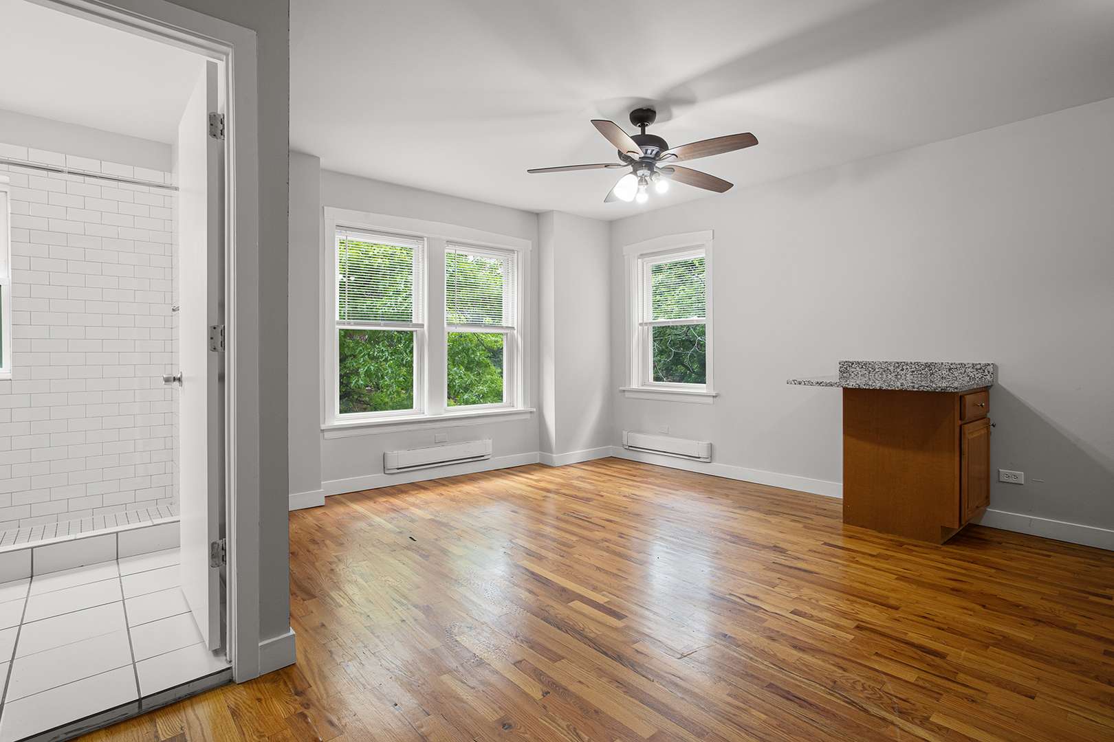 Chicago, IL 60626,7450 N Greenview Avenue #72