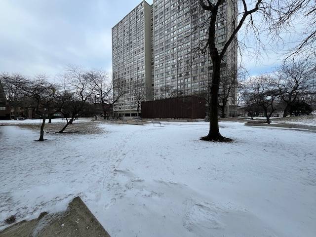 4850 S Lake Park Avenue #1707, Chicago, IL 60615