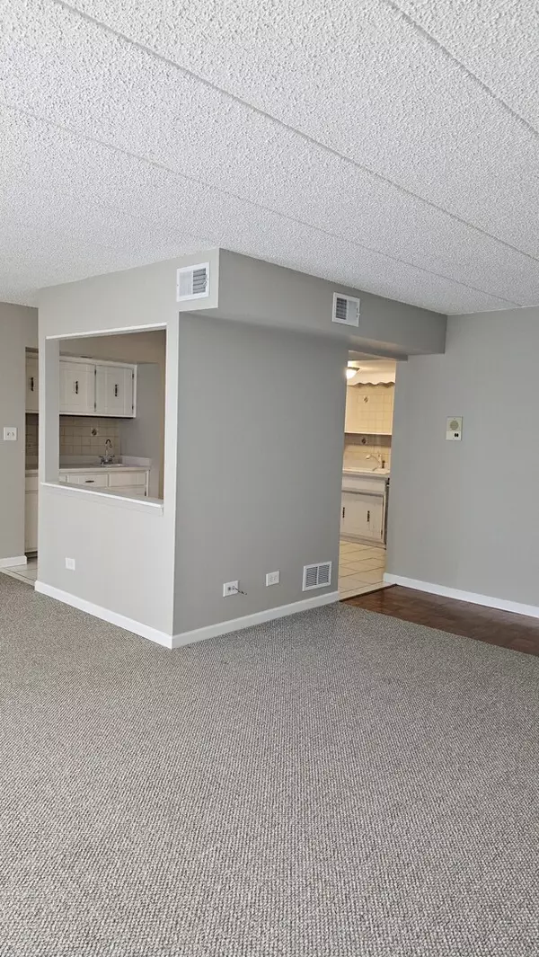 Orland Park, IL 60462,7405 Tiffany Drive #2SW