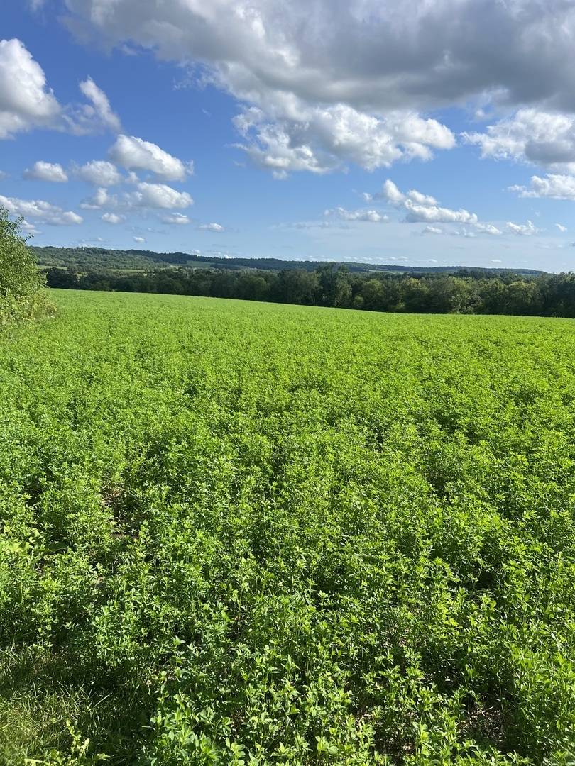 000 S Rush Creek Road, Stockton, IL 61085