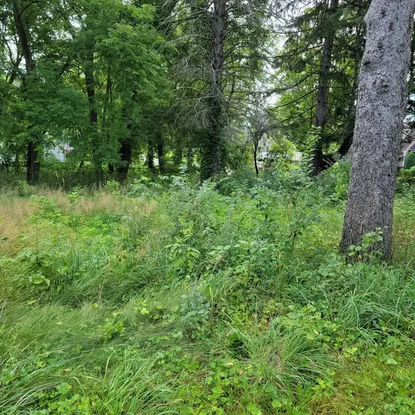 Wauconda, IL 60084,25578 W High W Street