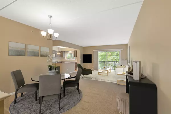 Palatine, IL 60067,124 W Colfax Street #301