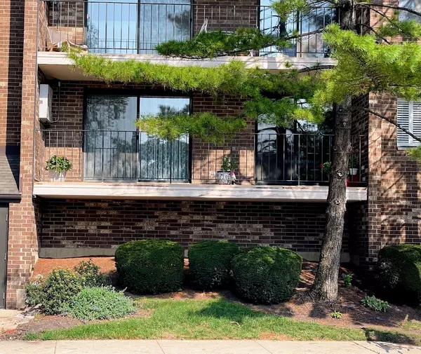 Des Plaines, IL 60016,555 Graceland Avenue #206